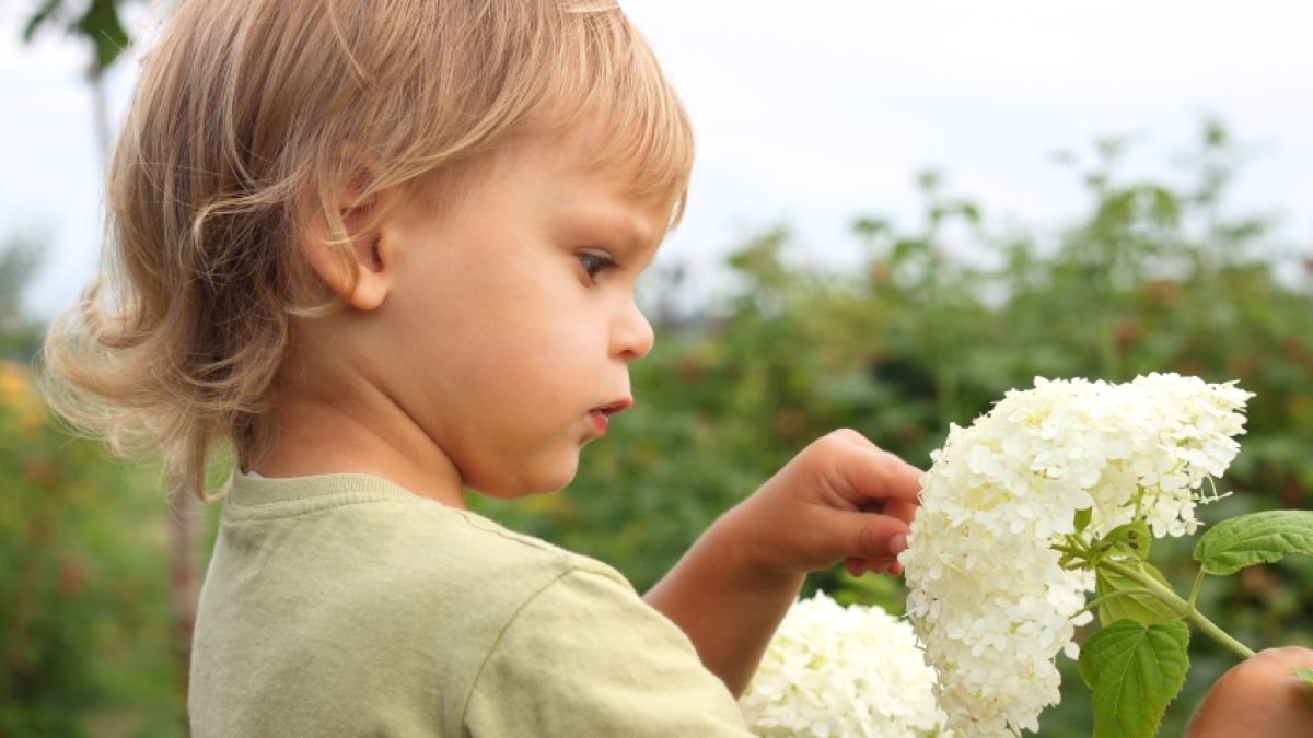 Very early exploration of the natural world sets the stage for later learning.