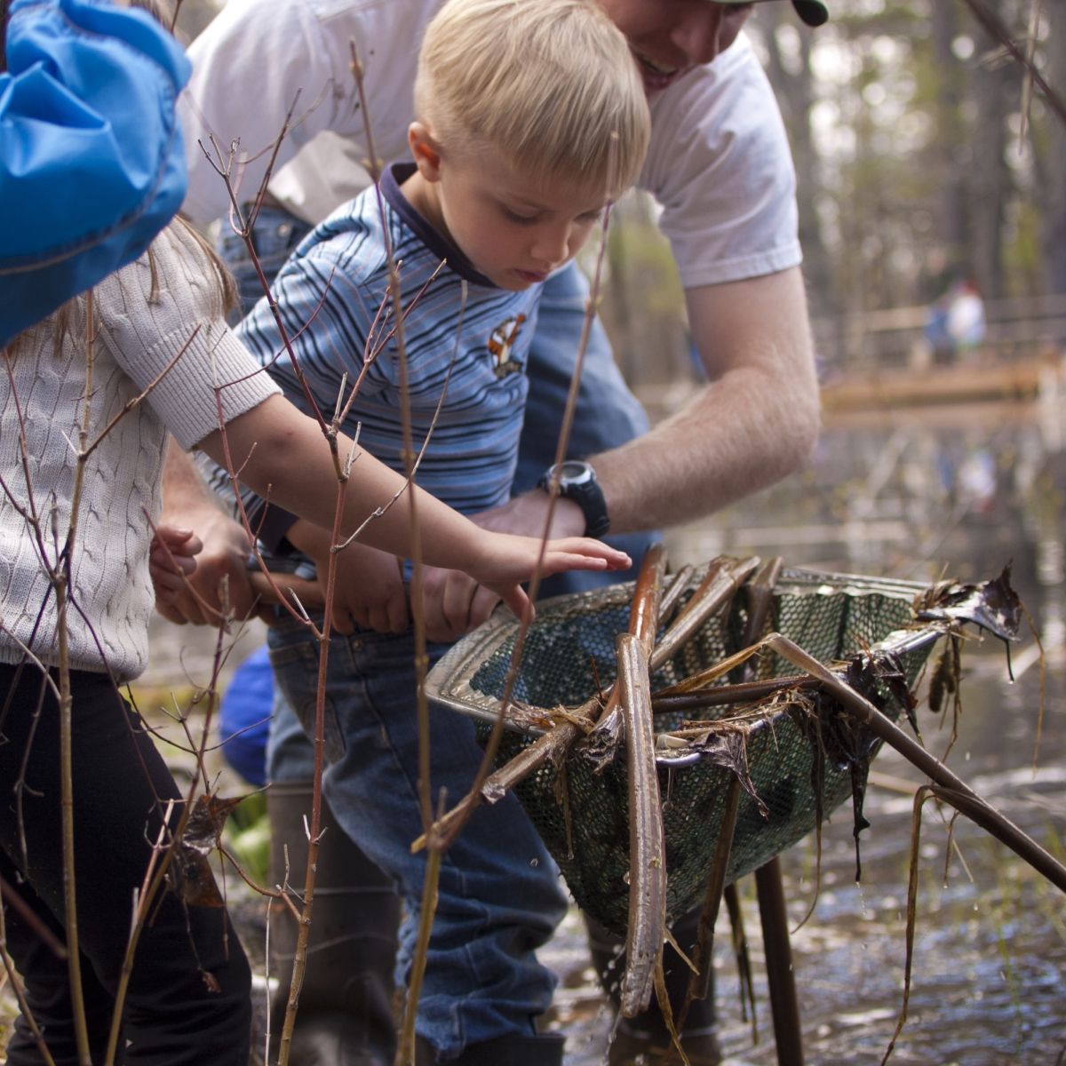 At Chippewa Nature Center Preschool, students are literally immersed in nature and science education