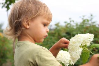 Very early exploration of the natural world sets the stage for later learning.