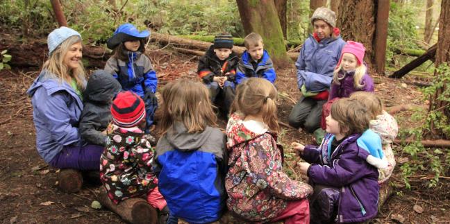 Flow Learning in a Forest Kindergarten | Natural Start