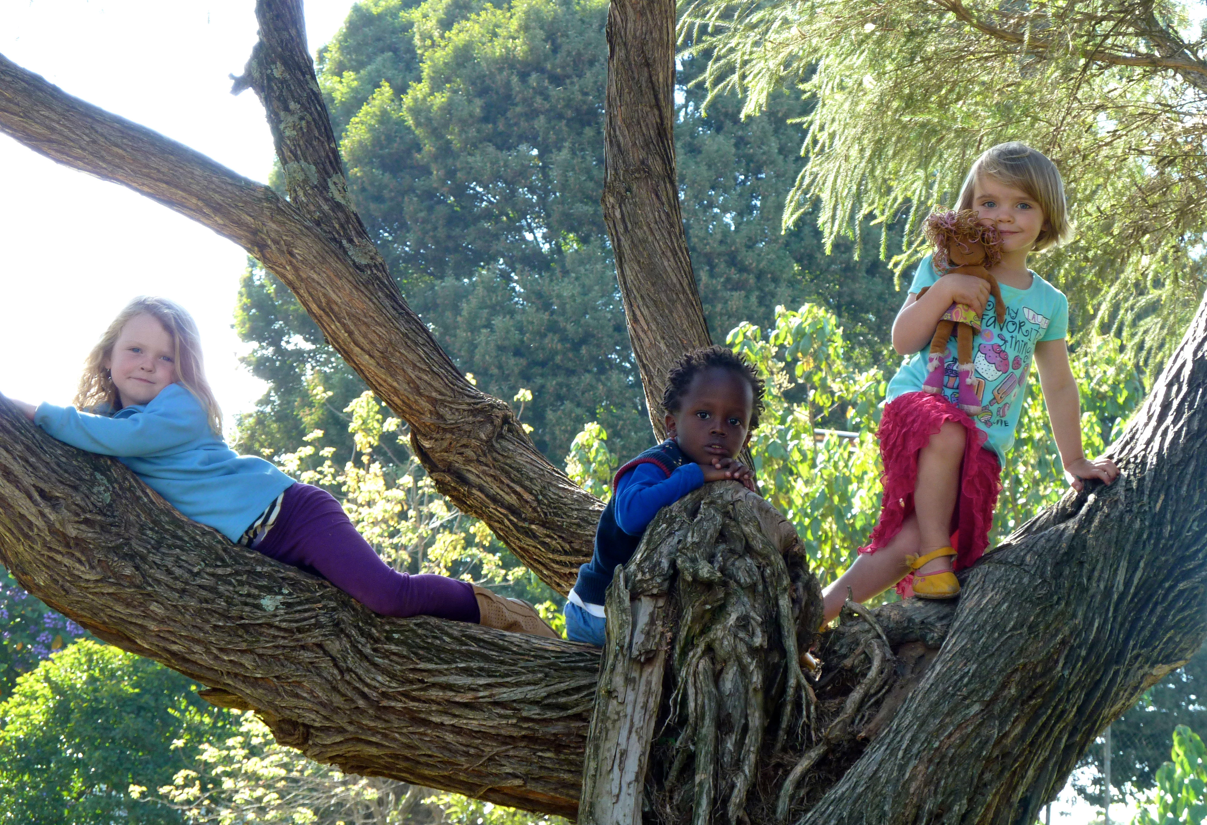 Woodland Star International School Natural Start