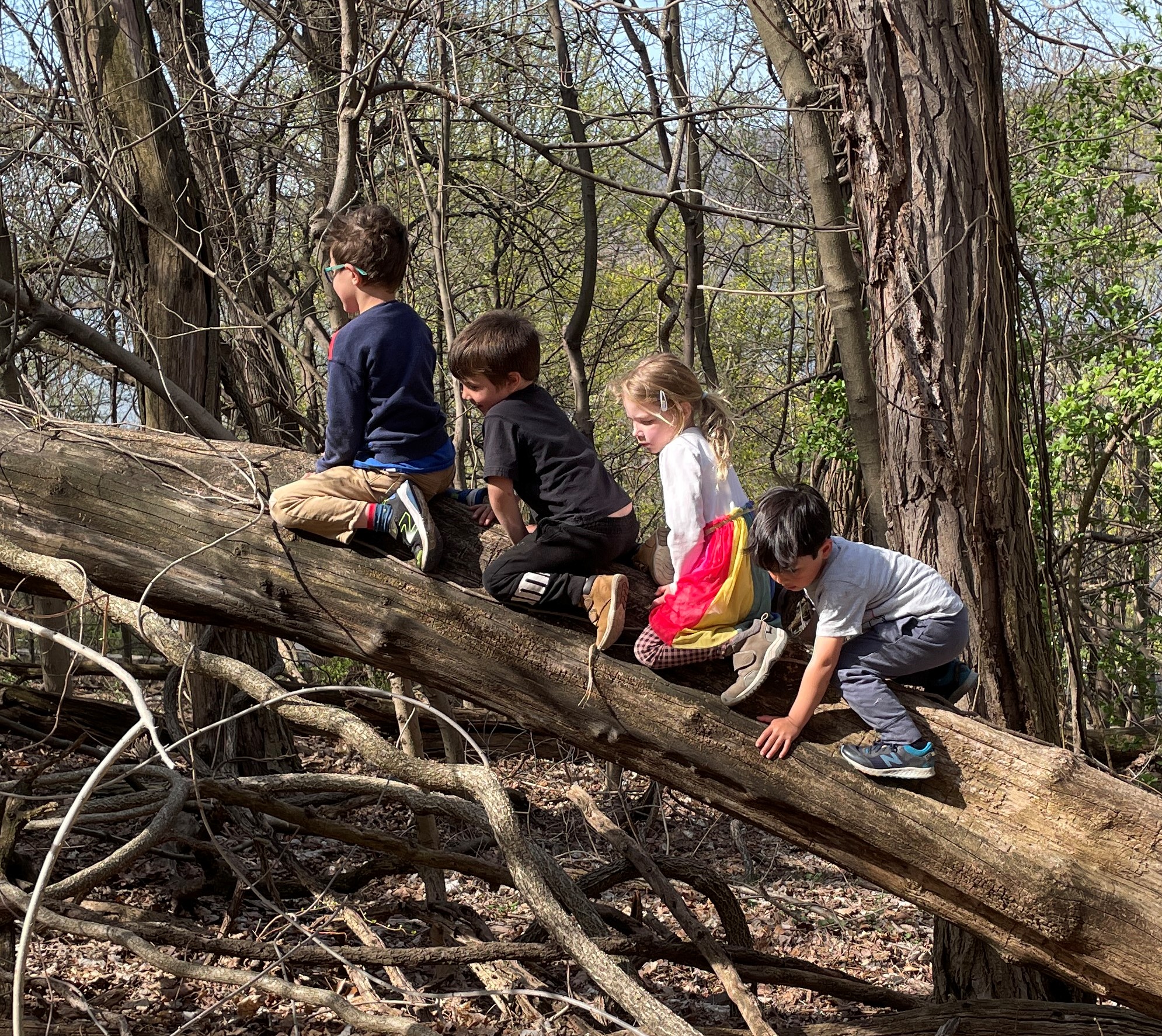 Little Bugs Nature Preschool