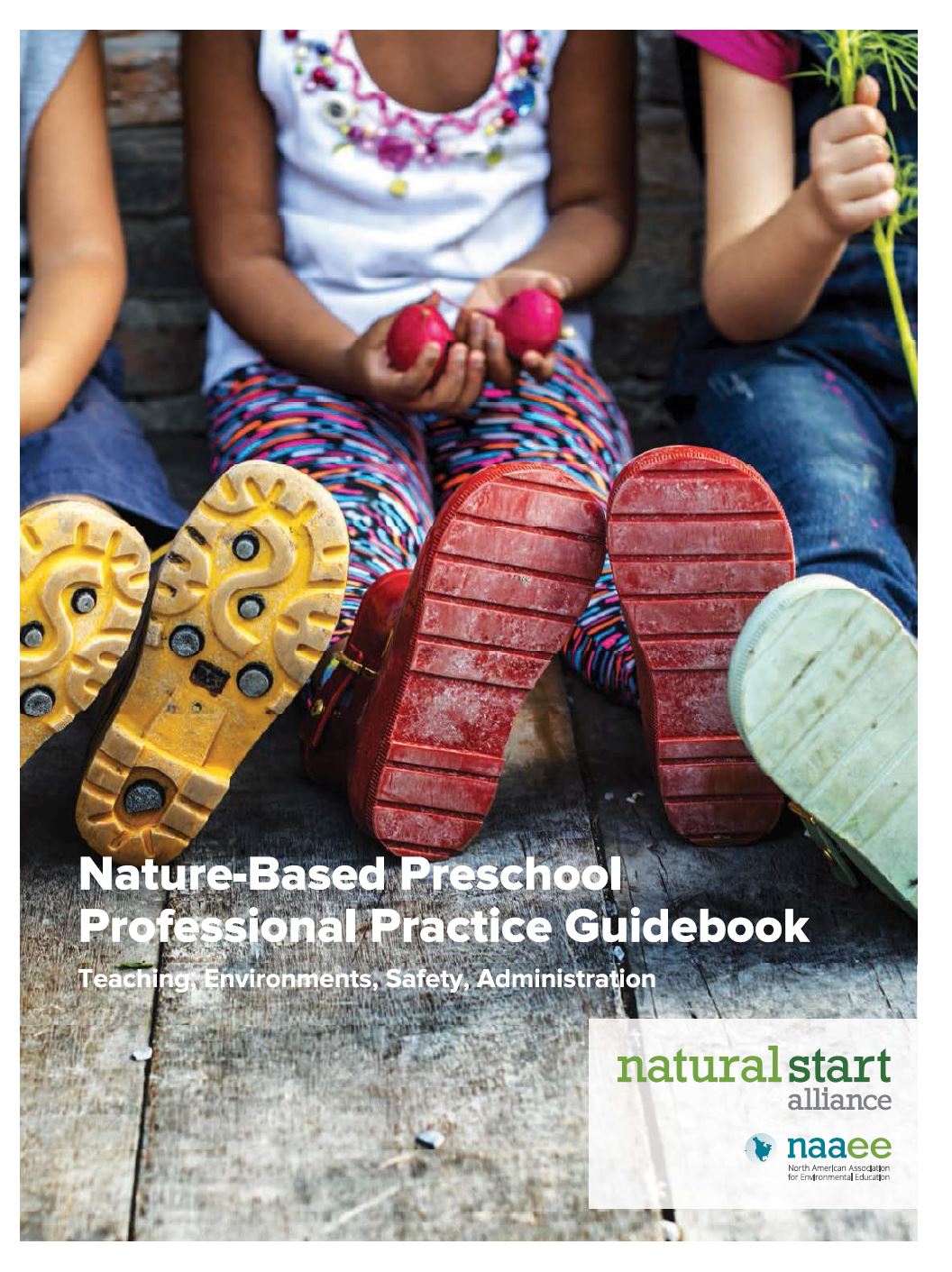 Guidebook Cover