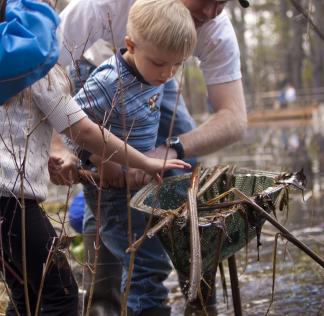 child fishing with net