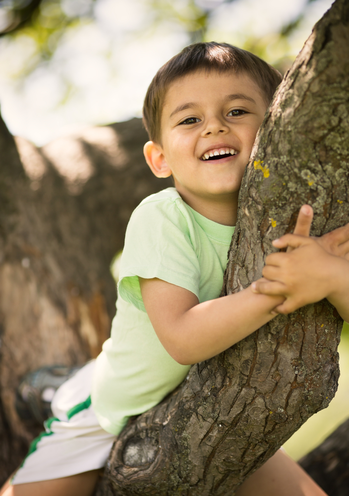 boy in tree