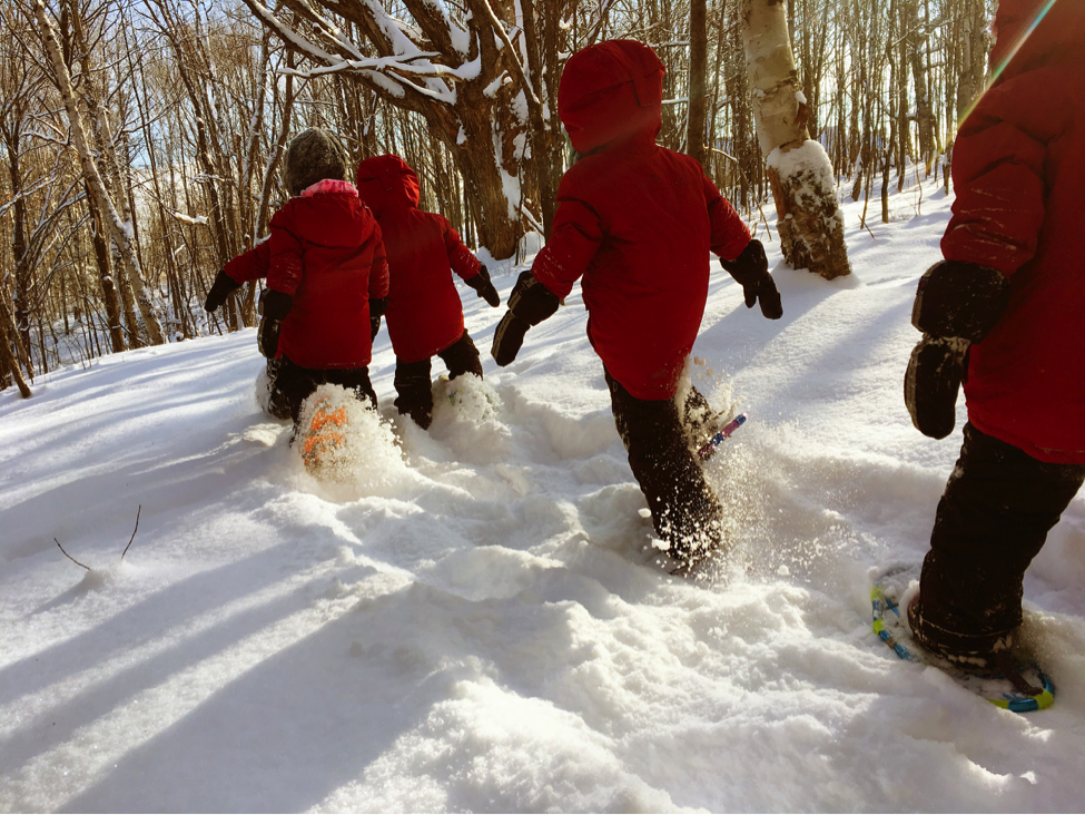 Backyard Science—The Secrets of Winter Trees - KIDS DISCOVER