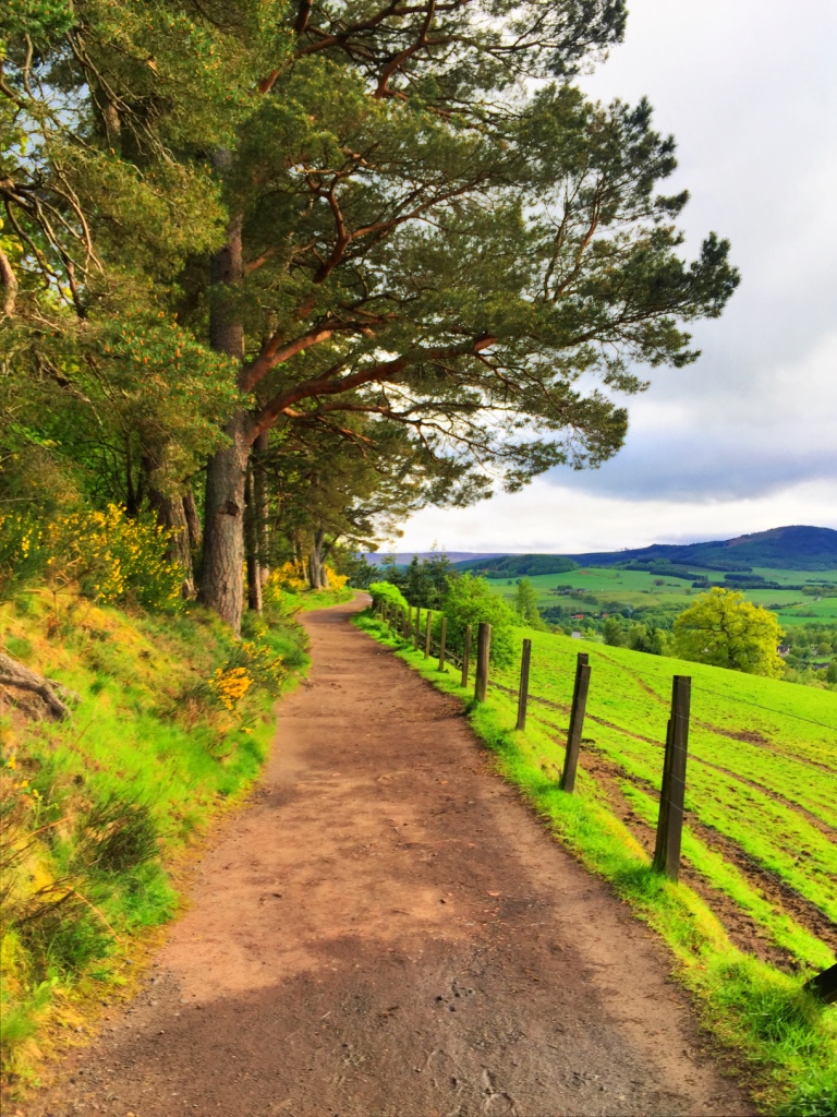 Scottish countryside.