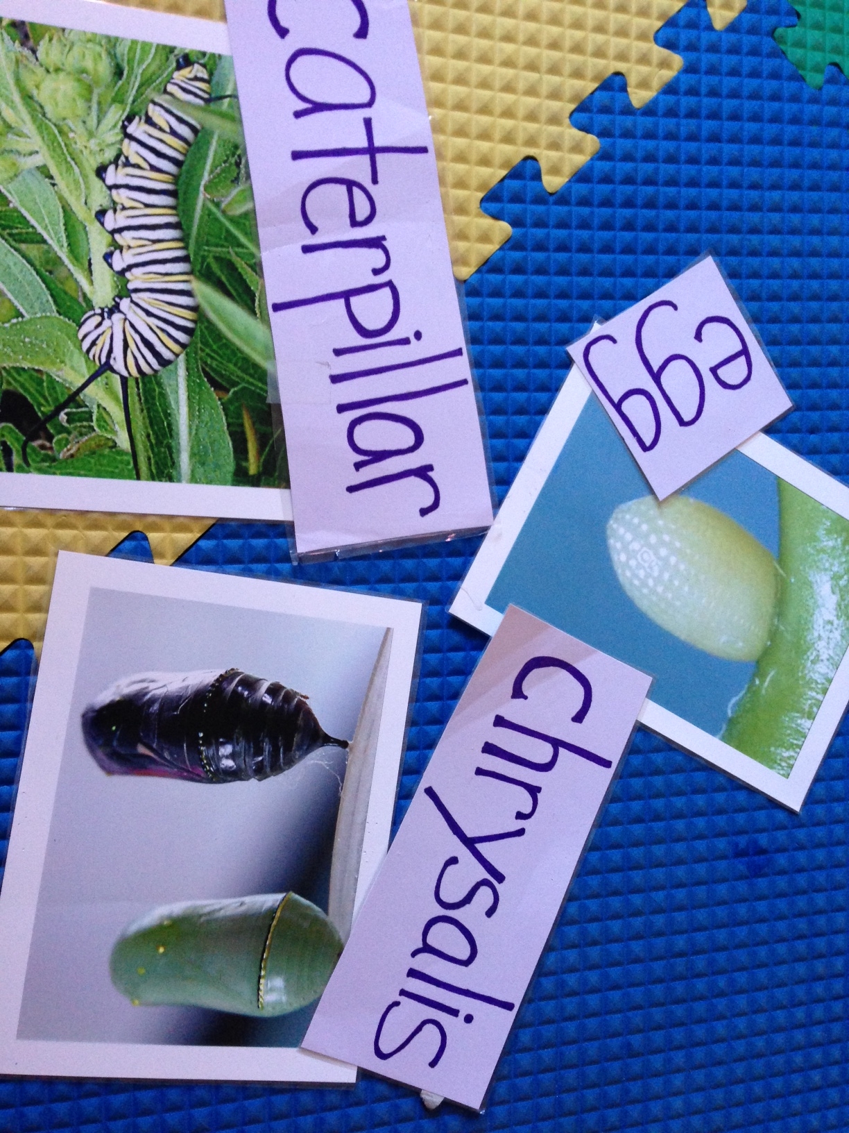 Independent work stations include seasonal nature themes. 