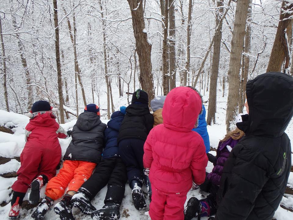 Children searching for deer in the forest