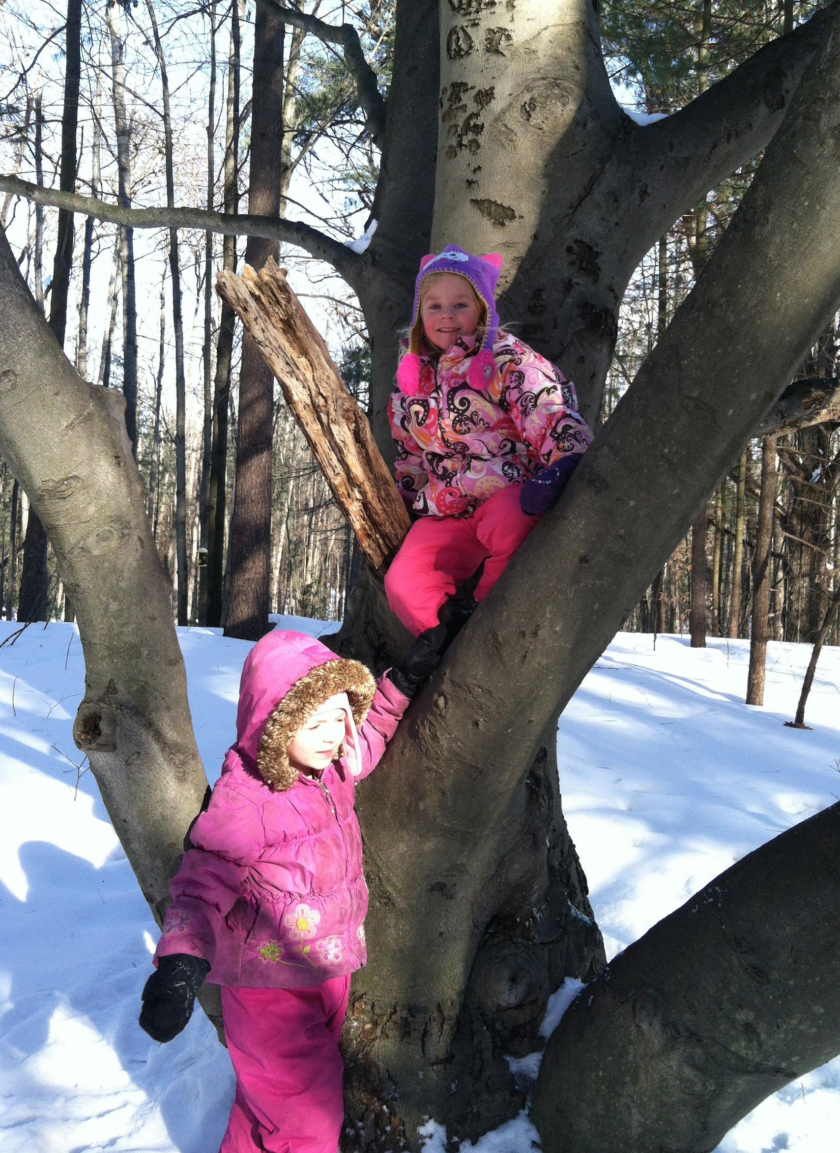 Often children have a short free play time in the woods at the end of their class hike. 