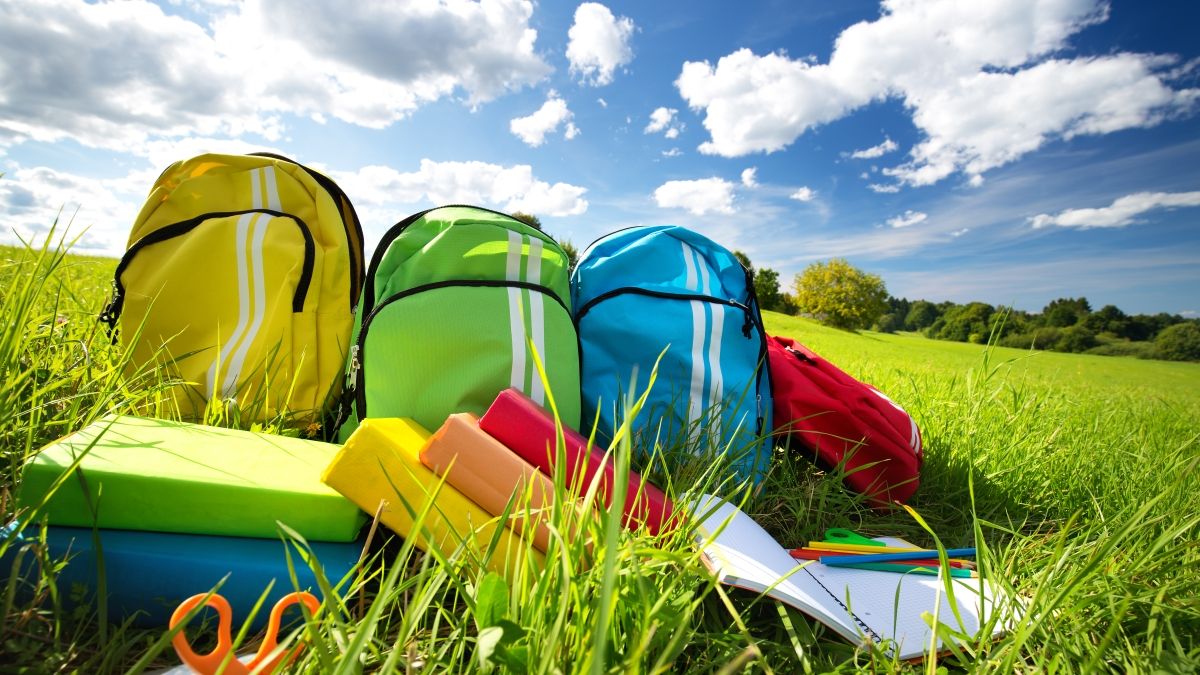 colorful backpacks on grass