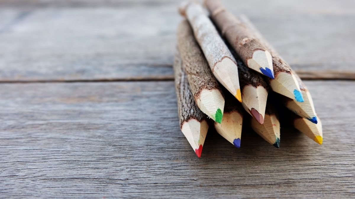 colored pencils made out of twigs