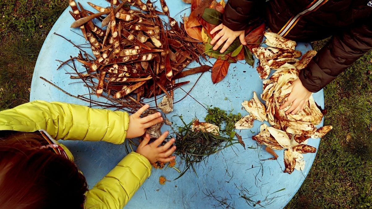 children doing leaf art on tree stump
