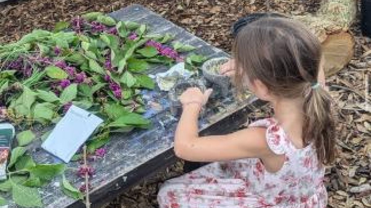child sorting leaves and berries on a table