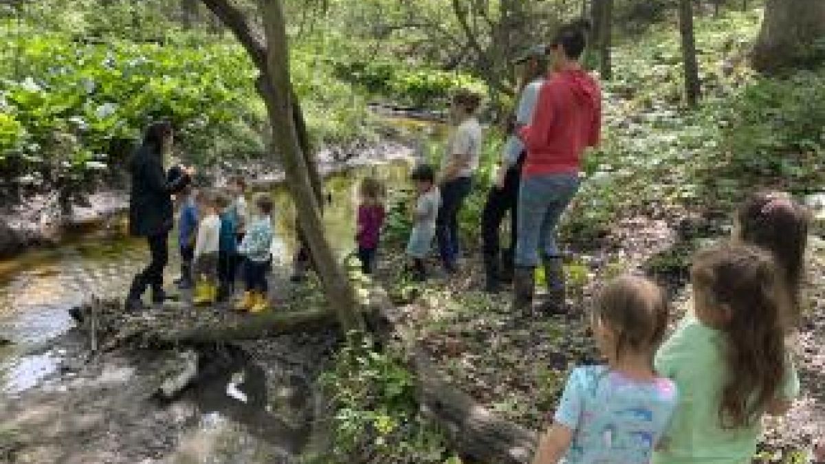 children and teachers near a stream