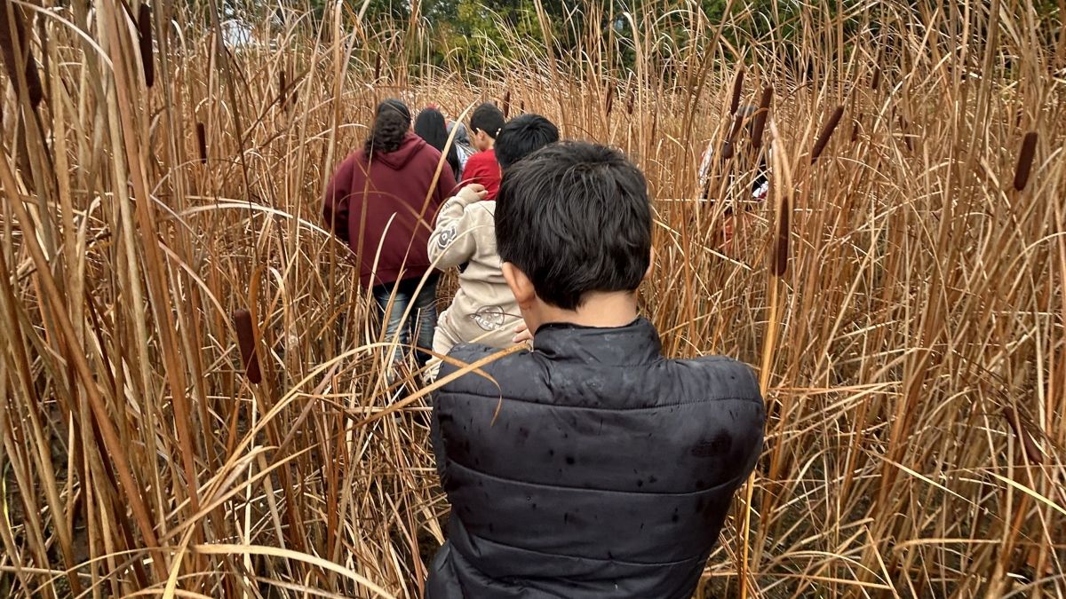 Children walking through tall grass