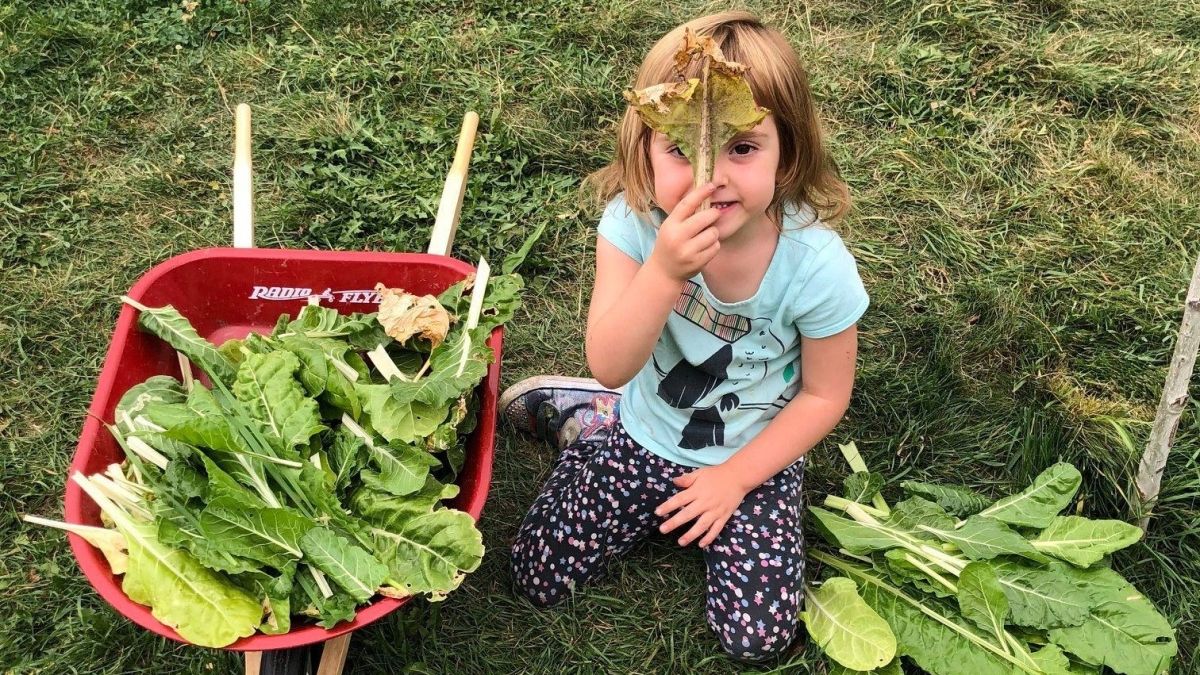 child holding a piece of leafy green in front of her face