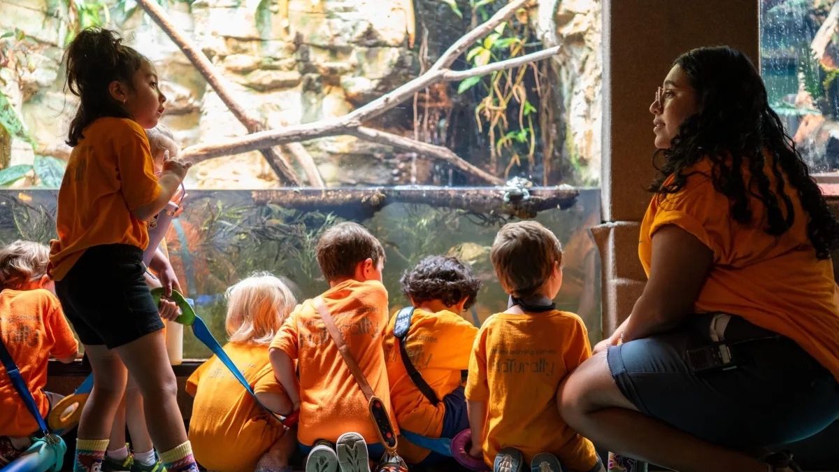 Will Smith Zoo School children looking at indoor Zoo exhibit