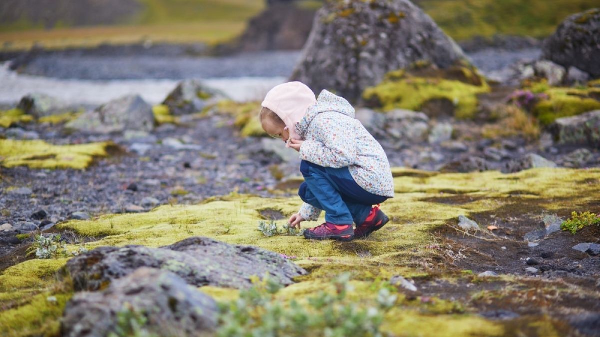 Adorable preschooler girl having fun on a summer day in Iceland
