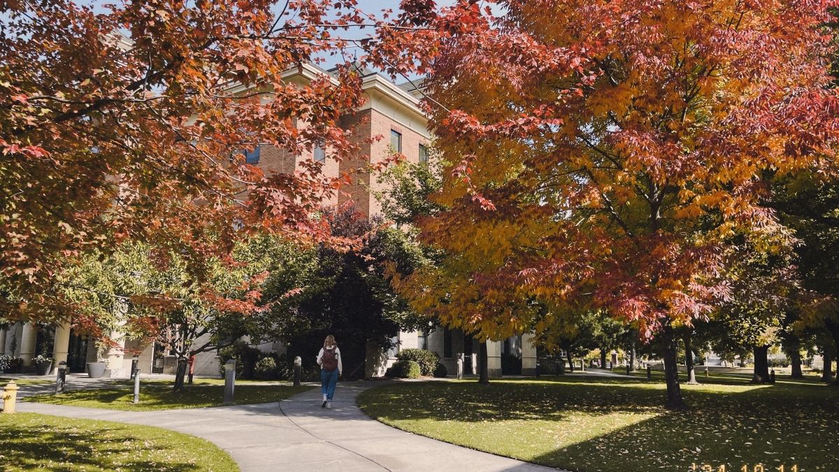 Fall trees on college campus