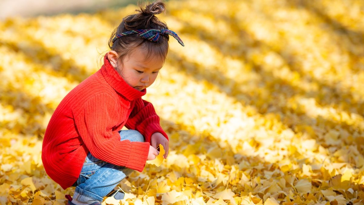 happy asian toddler playing in autumn leaves