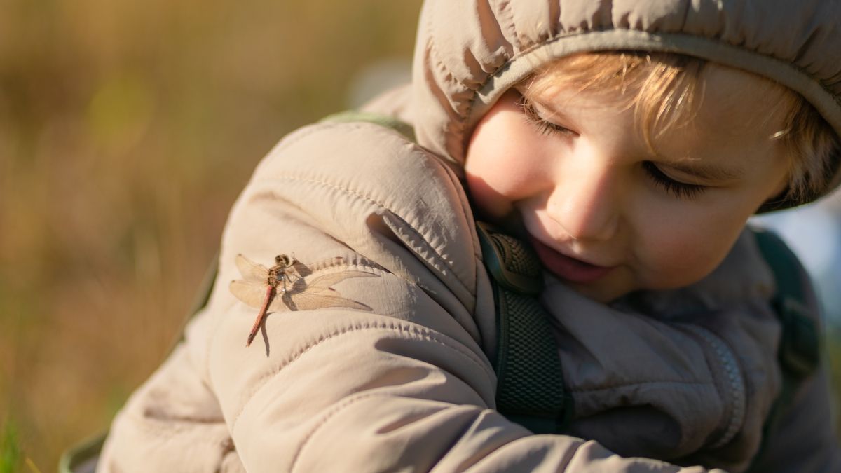 A curious child examines a dragonfly on his jacket shoulder