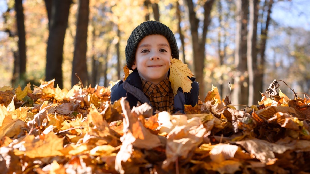 Smiling little boy plays in sunny autumn park
