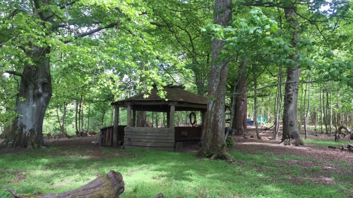 Auchlone Nature Kindergarten fire circle