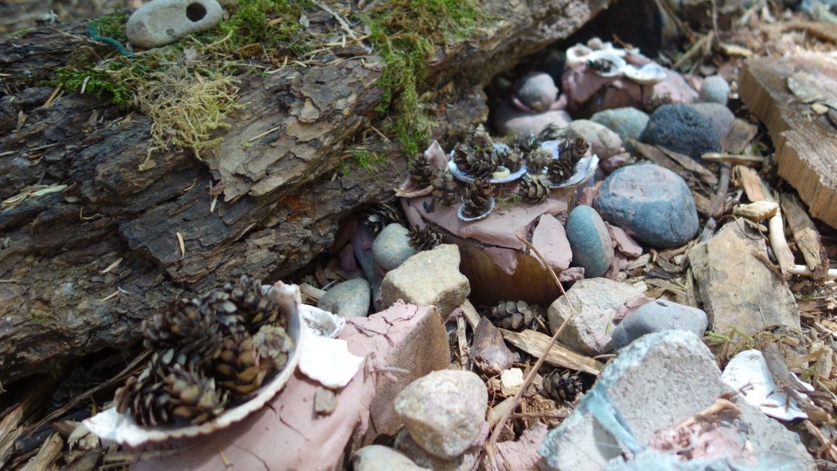 In this fairy restaurant, hemlock cones are on the menu.