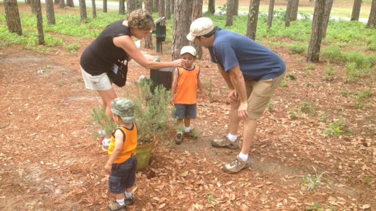 The Children's Nature and Sensory Trail at Brookgreen Gardens includes interactive stations that promote family play and learning.