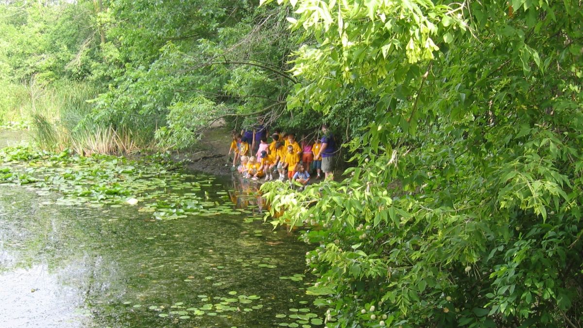 Summer campers at the pond.