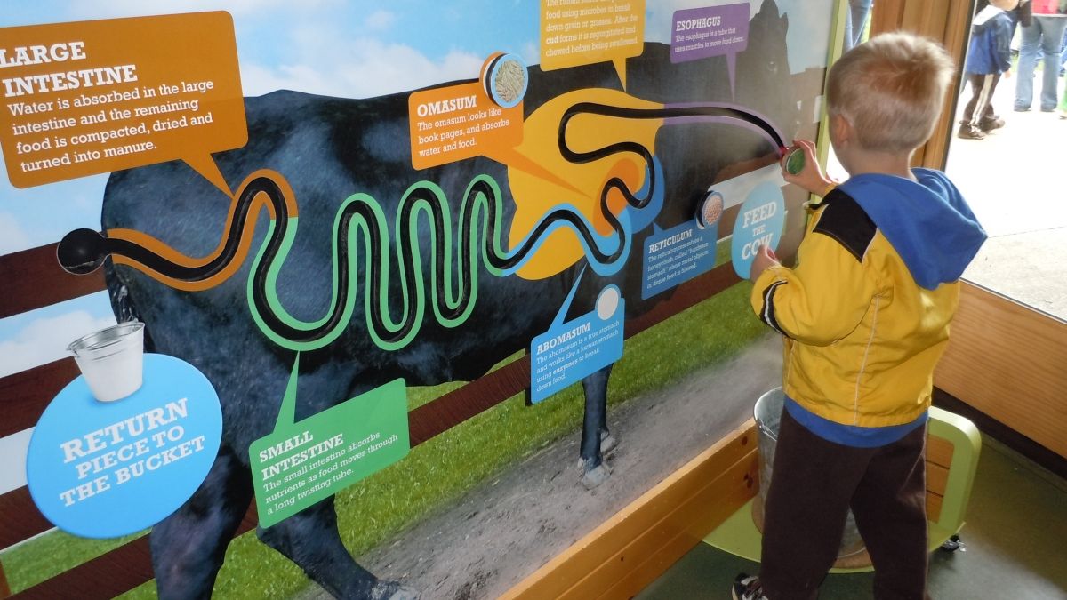 Interactive exhibits can enhance learning, but are an expensive element to include in a preschool.