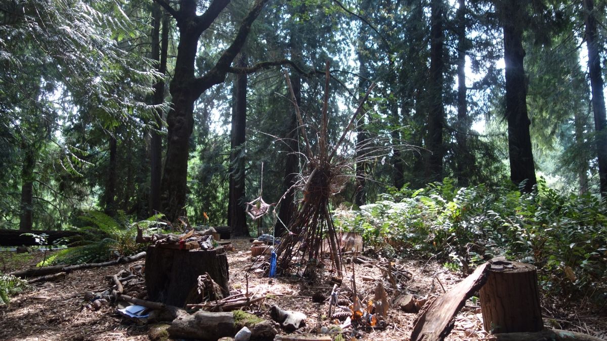 A view of the Fiddleheads fairy village.