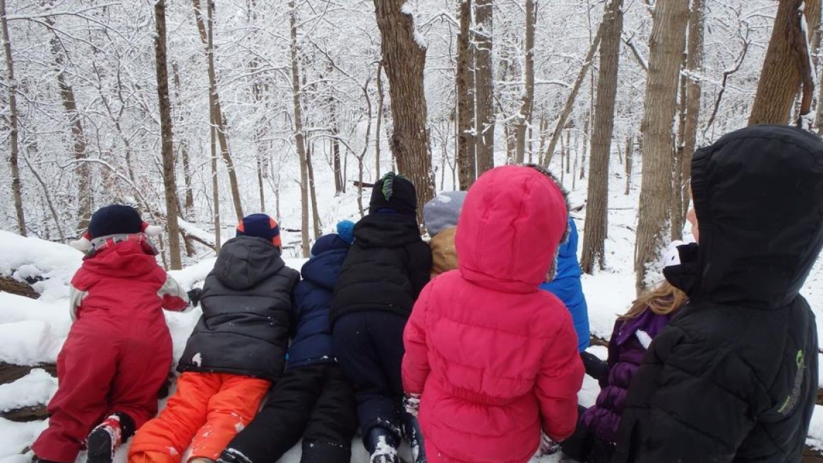 Children searching for deer in the forest