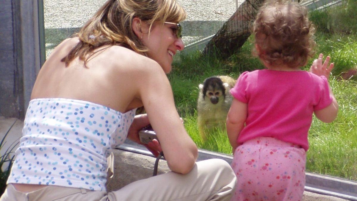 Watching monkeys enjoy the treats we made.