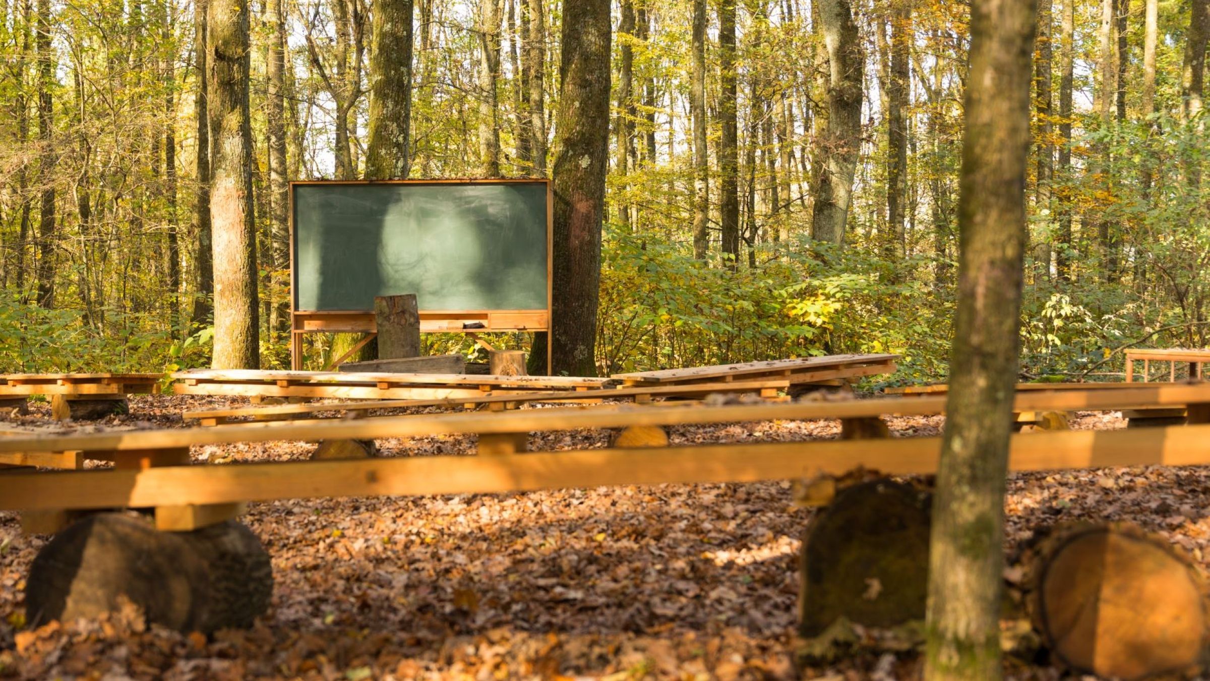 Outdoor classroom