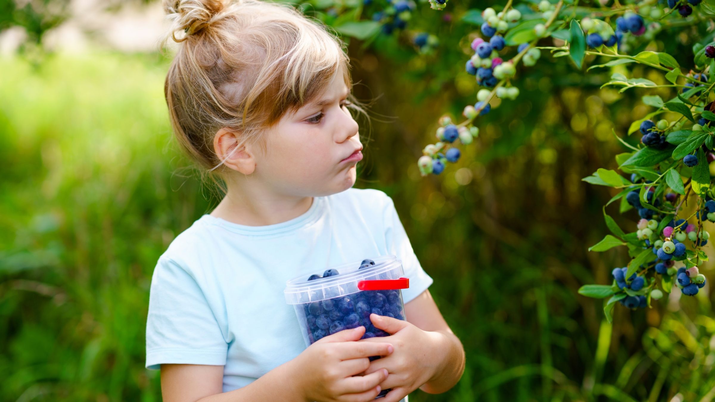 Girl holding blueberries