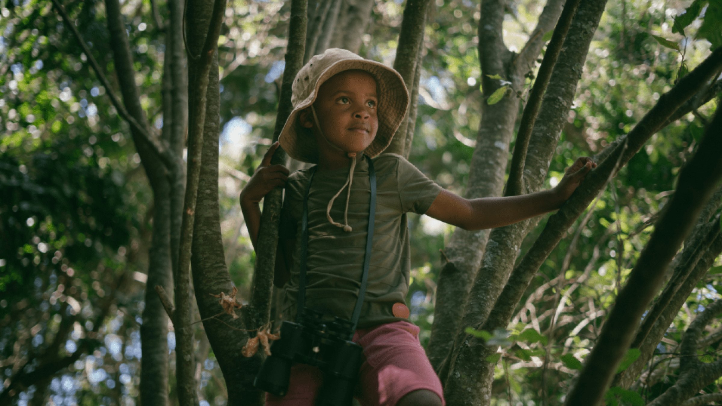 Confident, Satisfied Visionary Kid in Tree