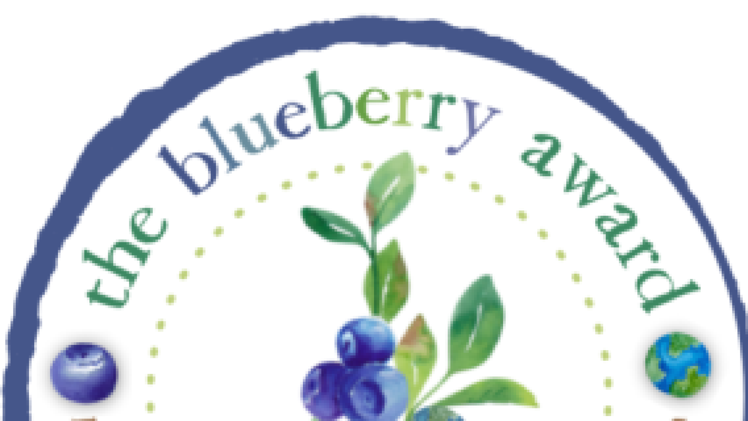 blueberry award 2024