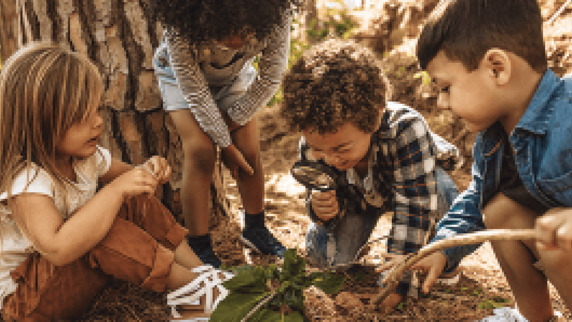 digging into nature book cover