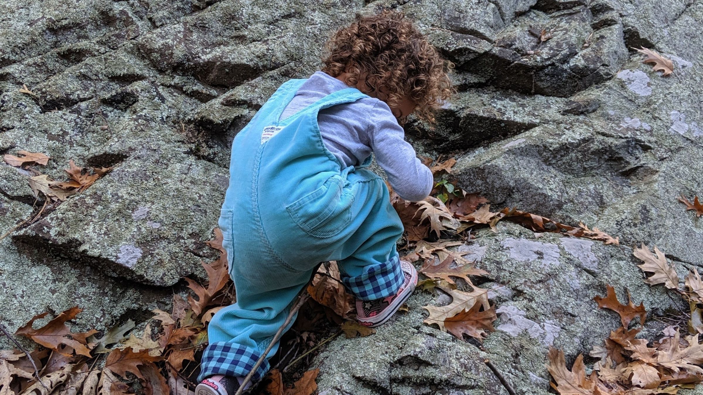 Child climbing a rock