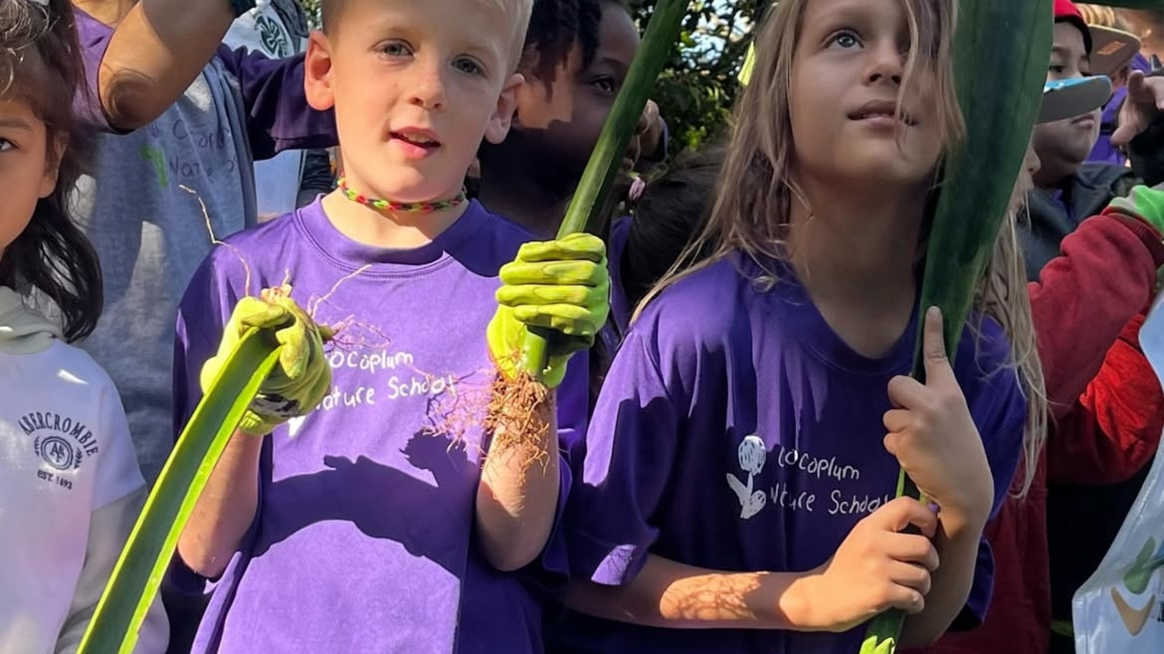 children holding leaves