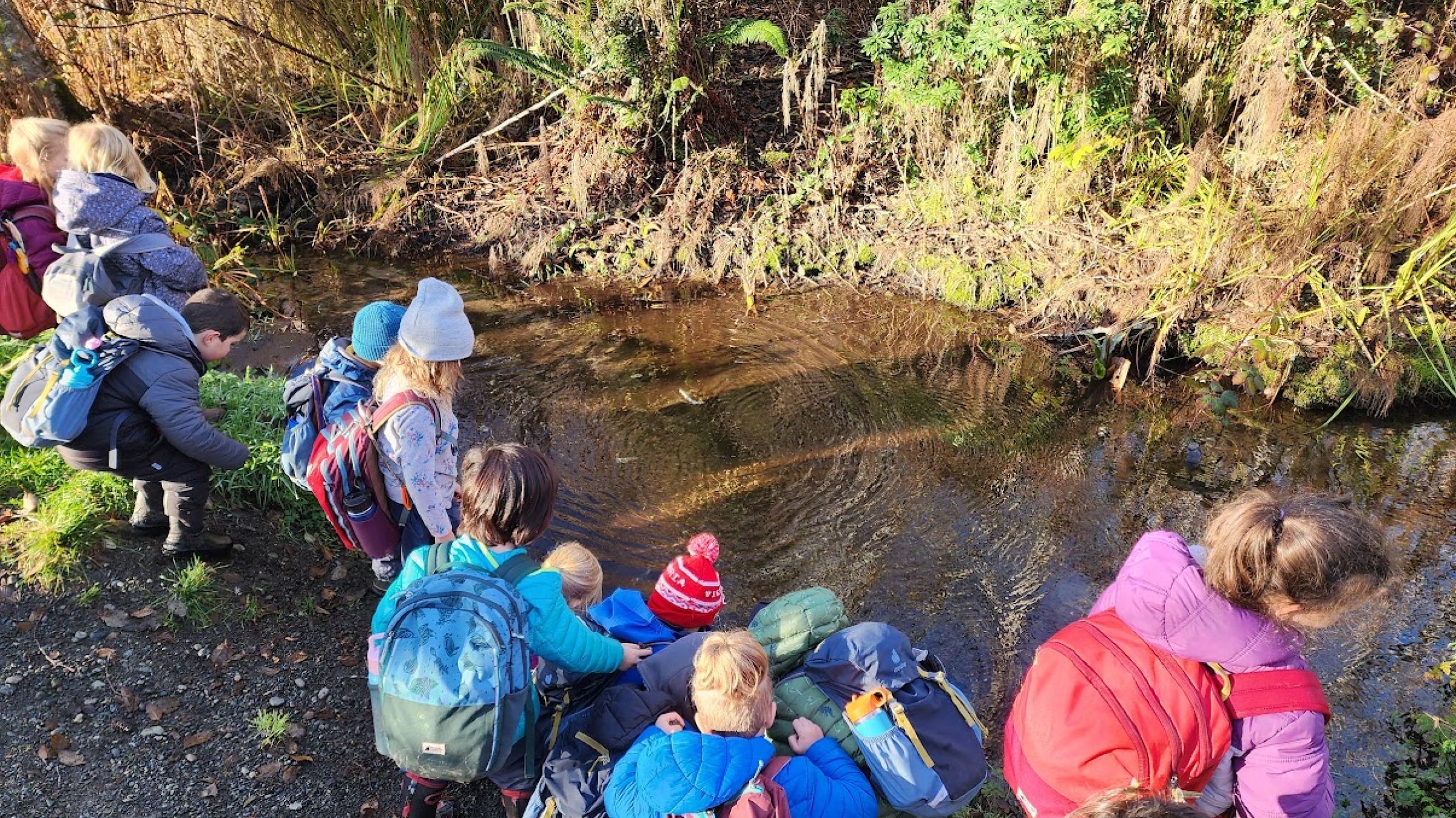 Sooke SD Nature Kindergarten