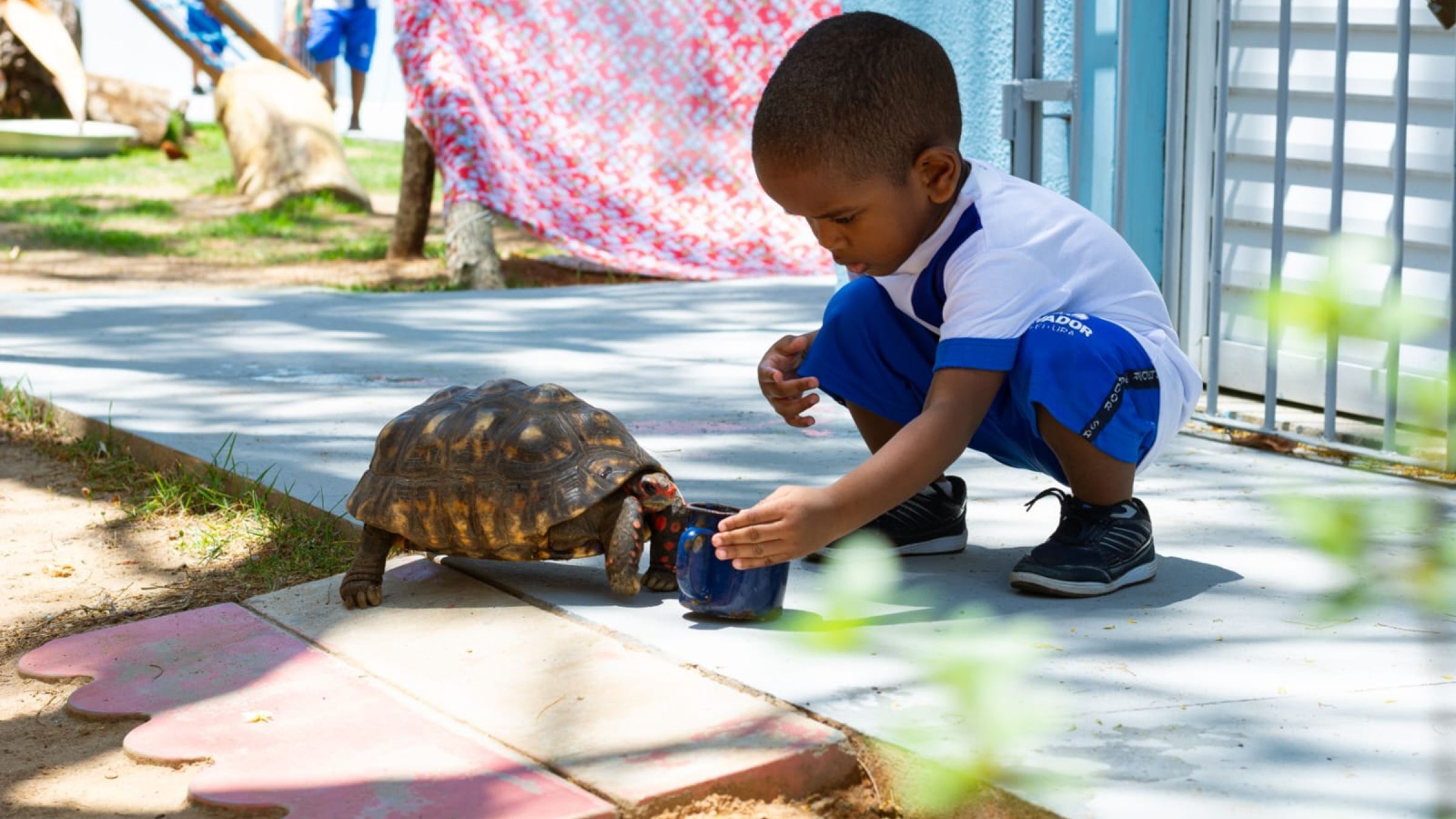 Brazilian child playing outside with turtle