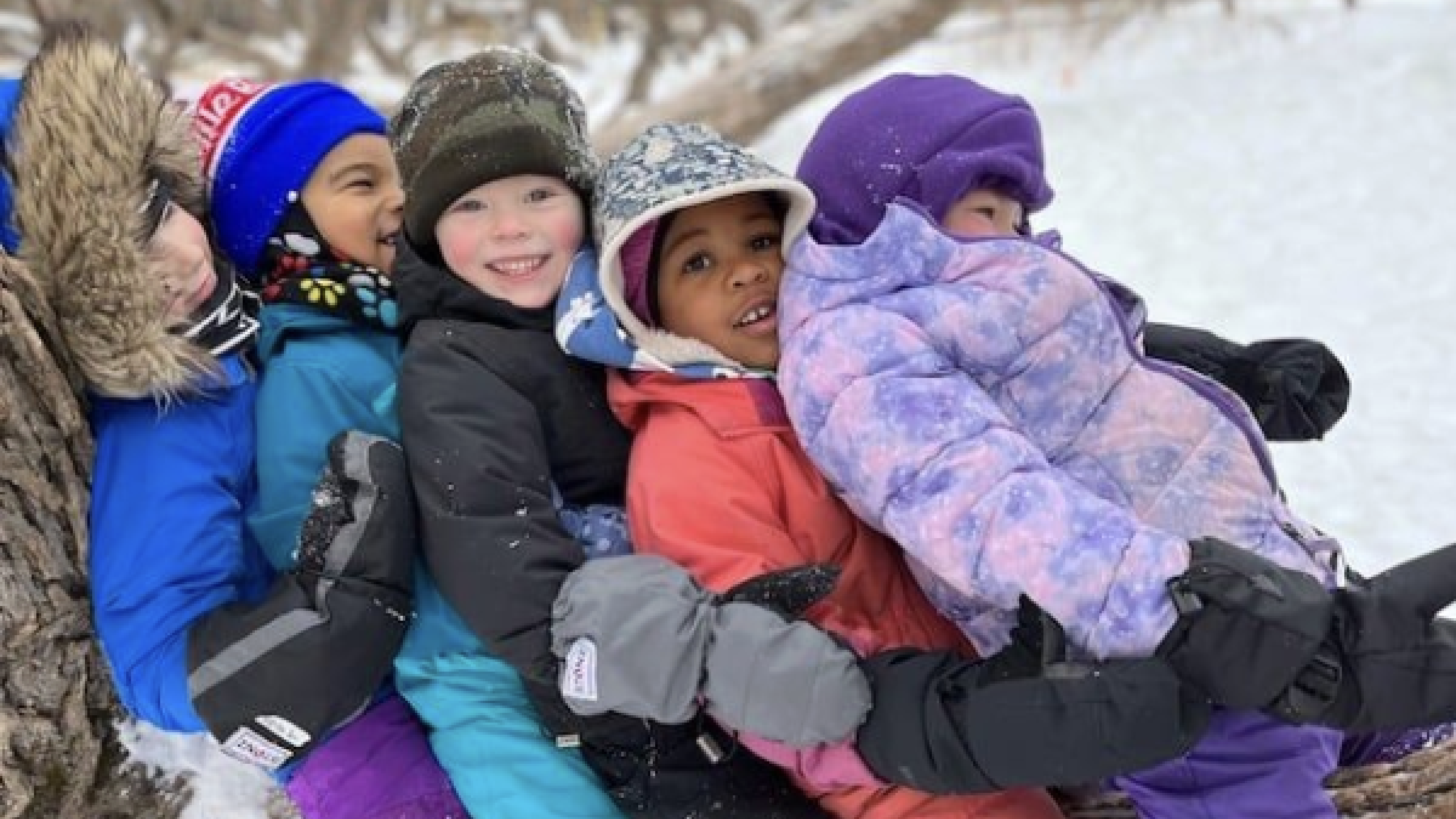 children sitting in a line on a tree branch in winter gear
