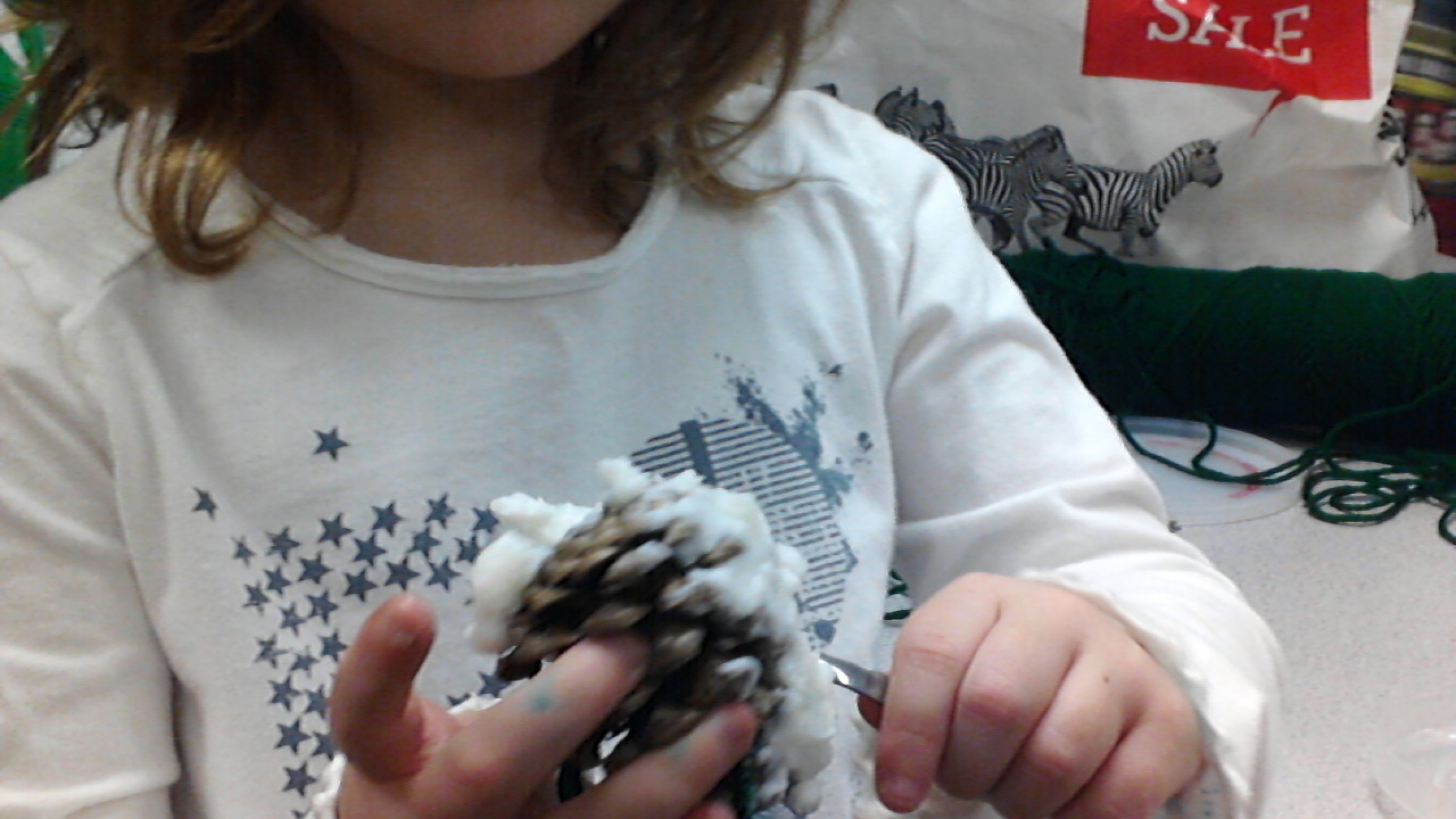 A Primary Photo Journalist records her partner's work during an activity to create bird feeders for the school yard.