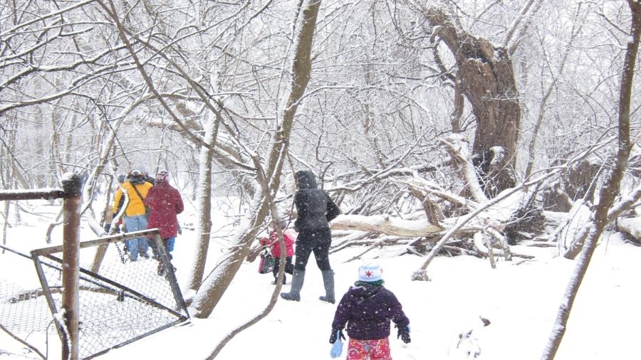 North Park Village Nature Center