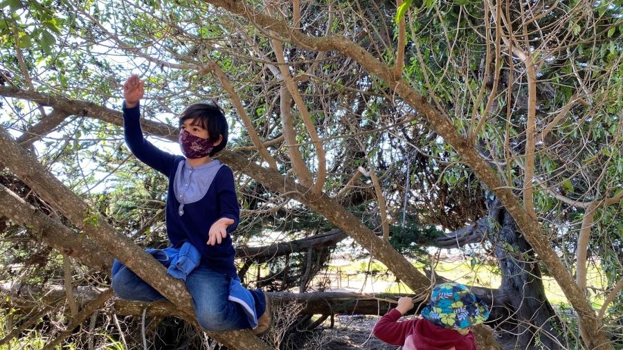 Photo by: Berkeley Forest School