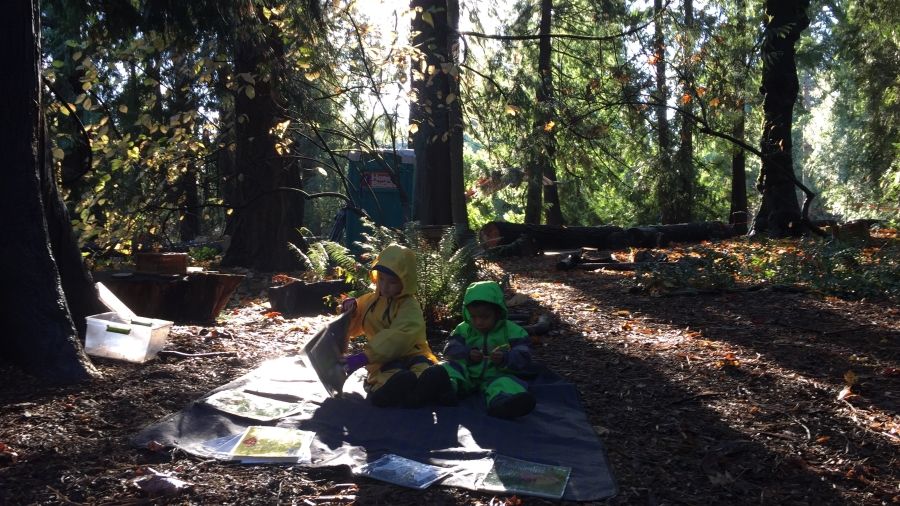 Fiddleheads Forest School