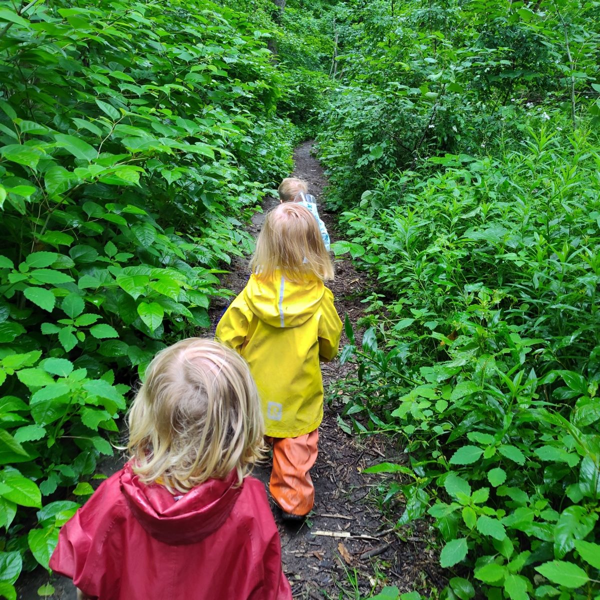 children in line walking down path in the woods